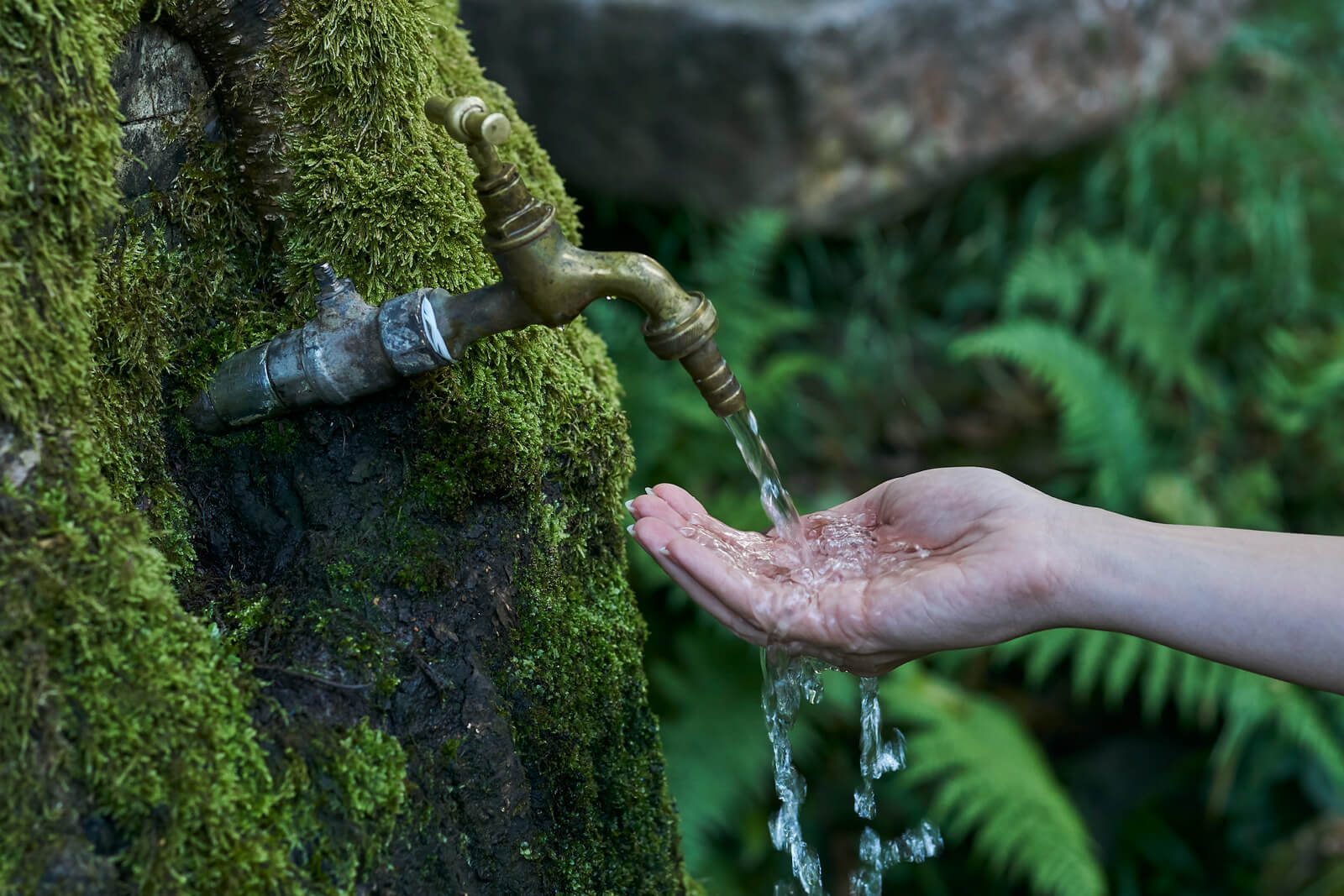 Slideshow AIR ADALAH SUMBER KEHIDUPAN